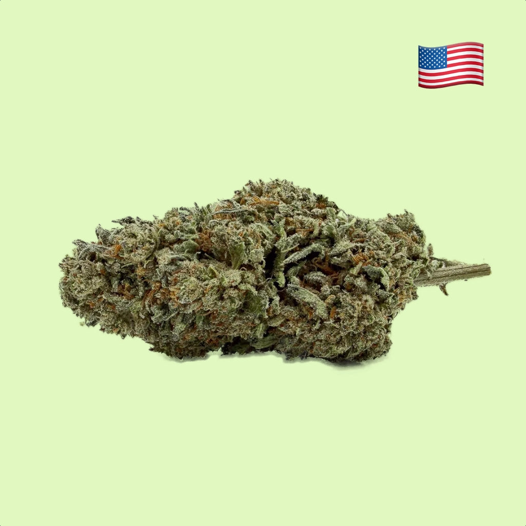 Fleurs de cannabis Sour Mango de Glass-House, cultivées en intérieur aux États-Unis, contenant 14% de CBD, marque Herbe à chat CBD.