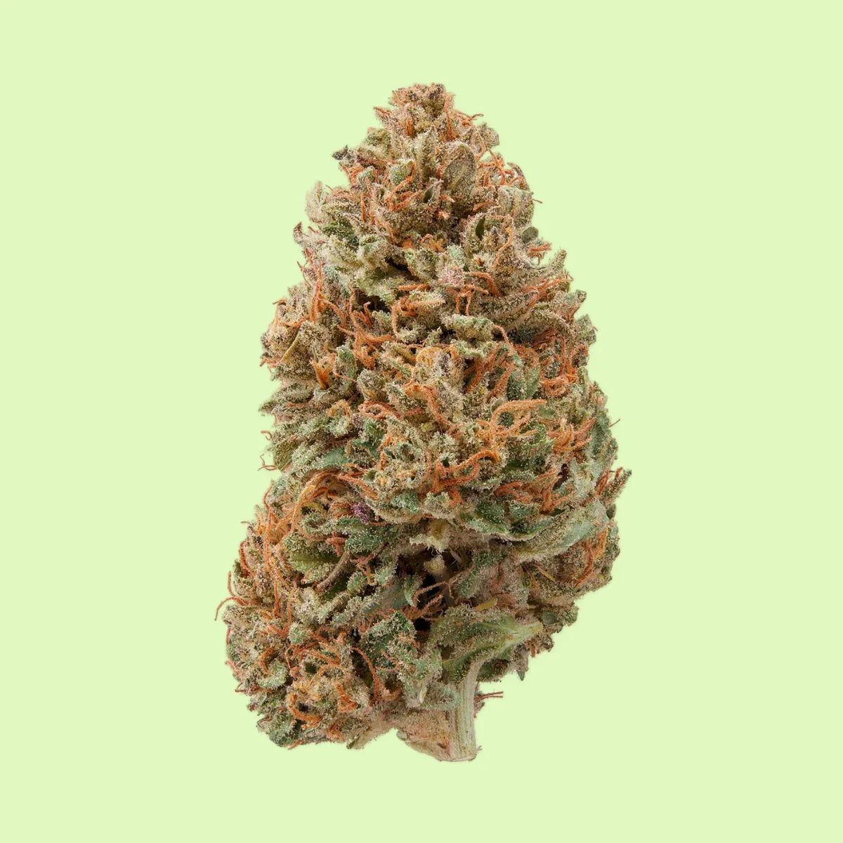 Sour Chem | Indoor hydroponique | 15% CBD