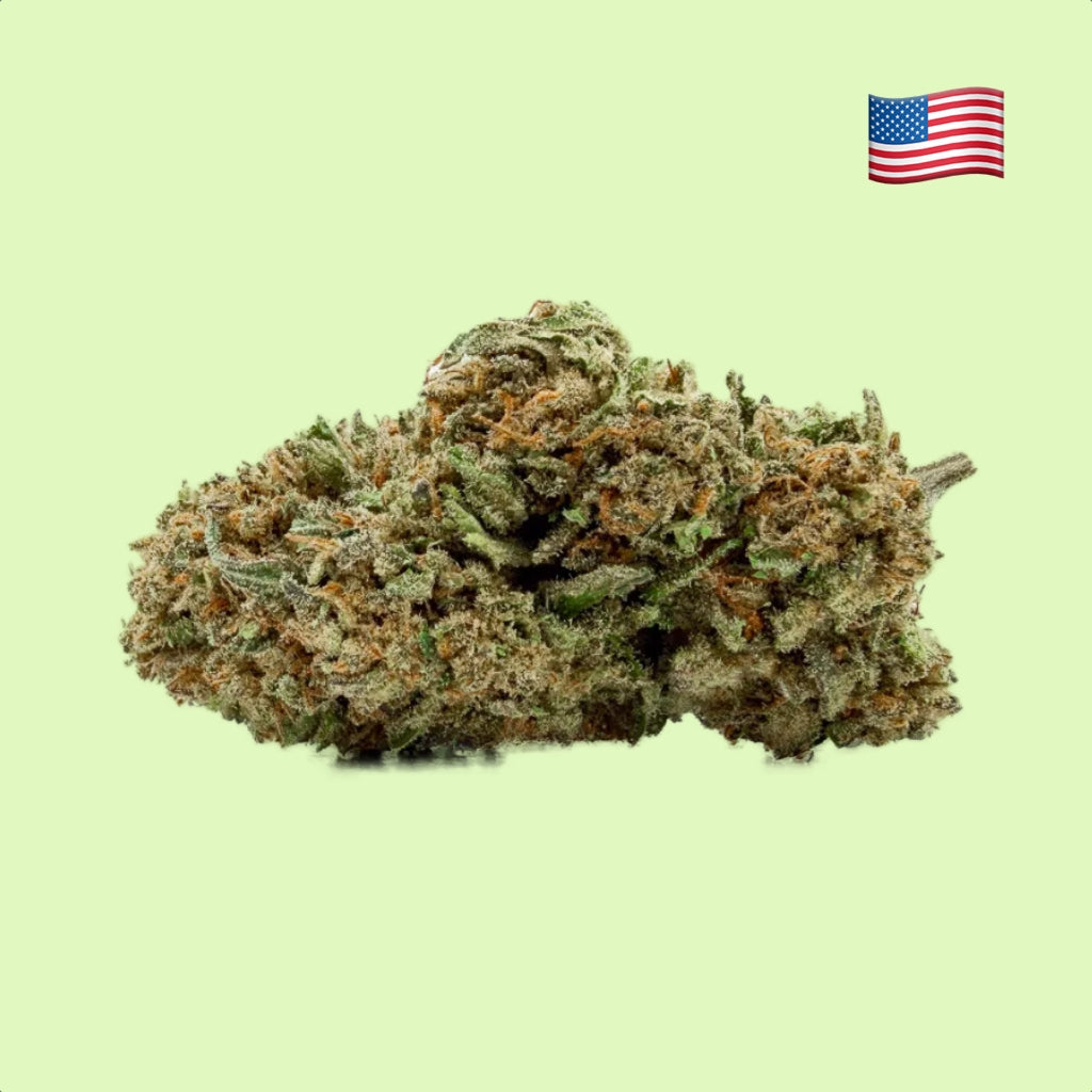 Fleurs brut Strawberry Mint de Herbe à Chat CBD, cultivées aux États-Unis, avec 13 % de CBD, présentées dans un verre.