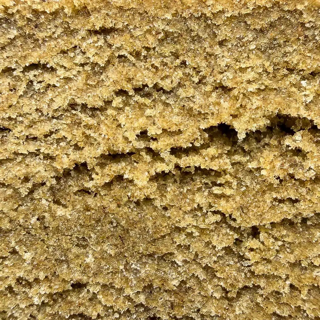 Papaya | Hash | 50% CBC