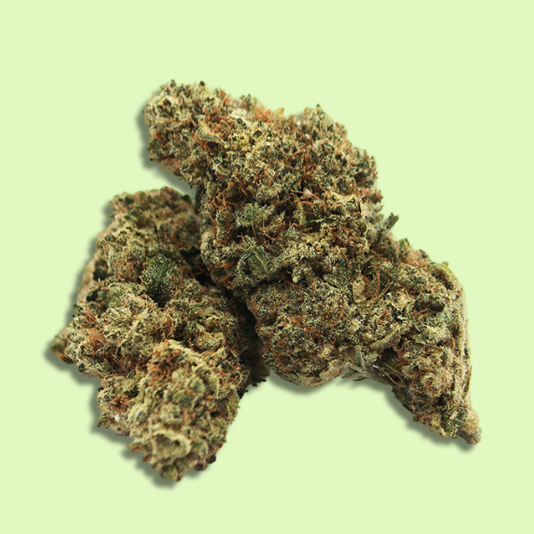 V1+ | Indoor hydroponique | 15% CBD