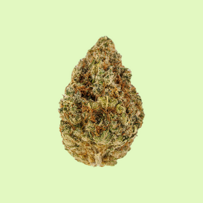 White Fire OG | Indoor hydroponique | LIVE TERPENES | 14% CBD