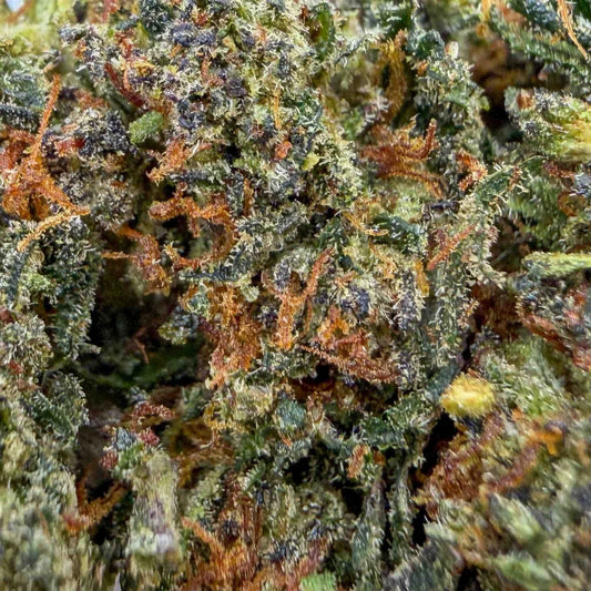 Blackberry Kush | Indoor | 30% CBC