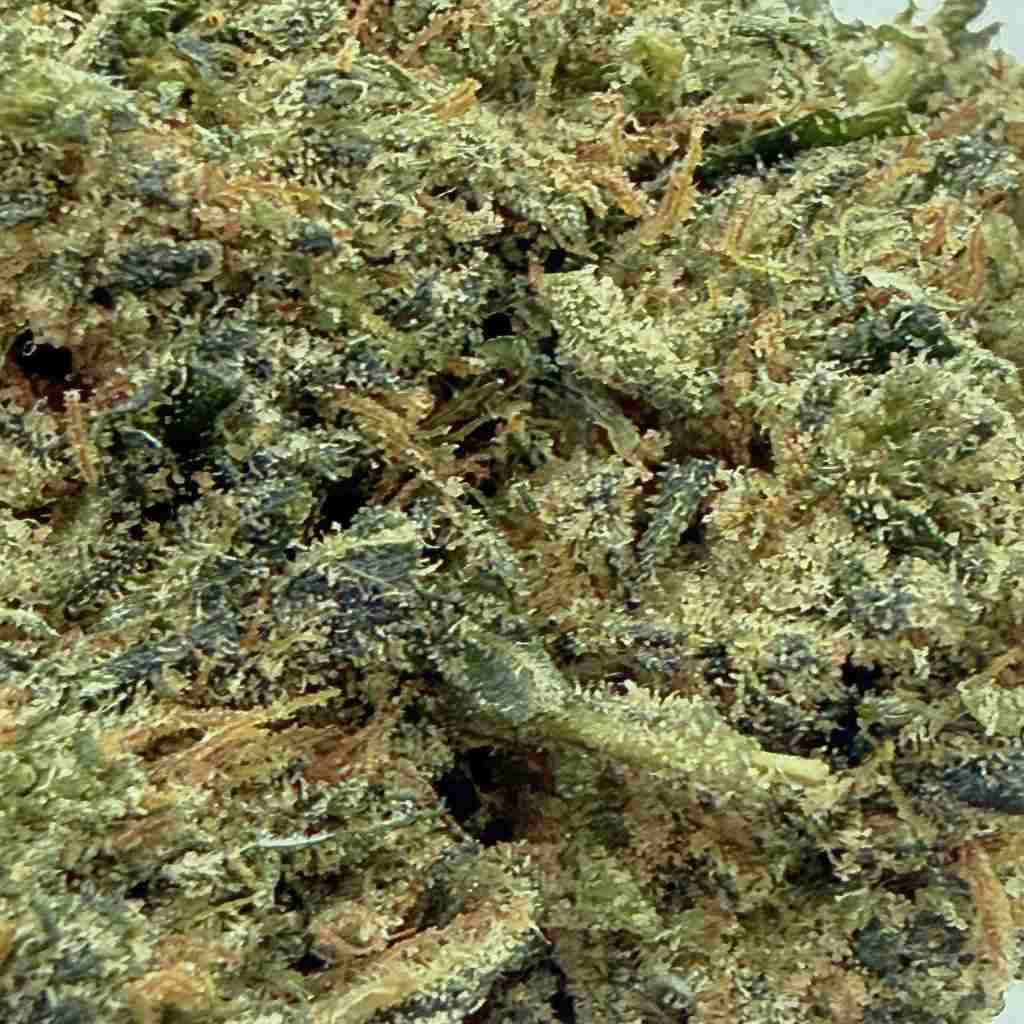 Berry n' Cheese | Indoor | 30% CBC