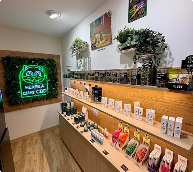 boutique herbe à chat cbd Tours Image