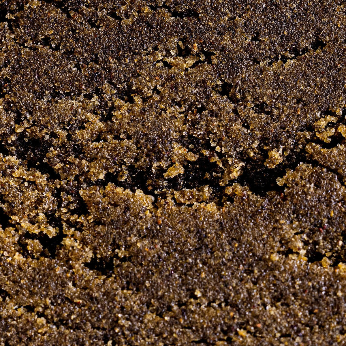 Ice-o-lator | 48% CBD - Herbe à chat CBD