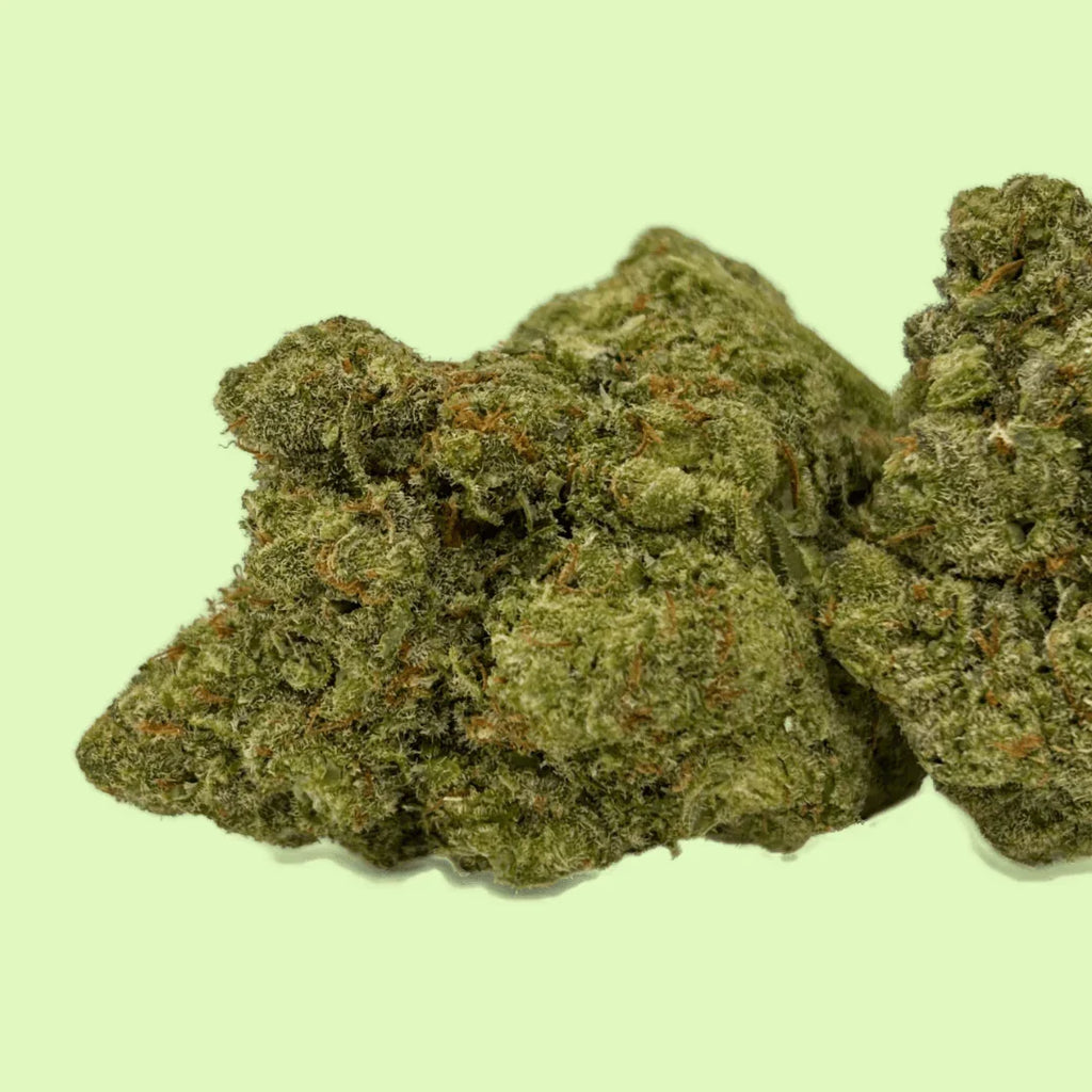 Fleurs brut Amnesia US Cryogénisée de Herbe à Chat CBD, indoor hydroponique, 19% CBD, végétation fraîche et dense.