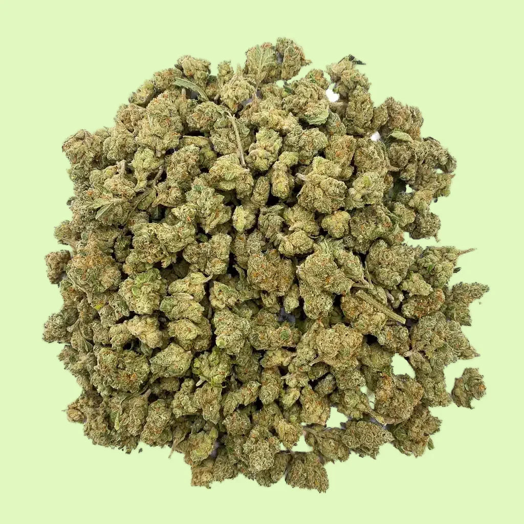 Fleurs brut Bubba Kush de Glass-House par Herbe à Chat CBD, fleurs de cannabis avec 8% CBD, gros plan sur les bourgeons.