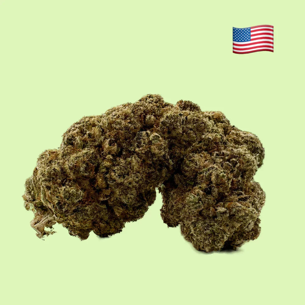 Fleurs brut Cereal Milk CBD de Herbe à Chat, culture hydroponique intérieure, 18% de CBD, origine USA.