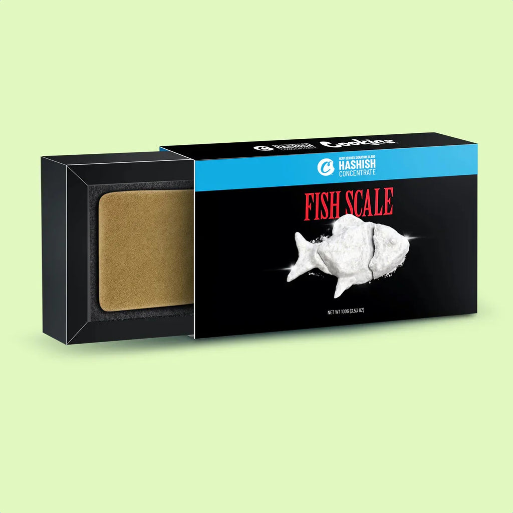 Fleurs de CBD brut Cookies Fish Scale Hash Infused avec 40% CBC, marque Herbe à Chat CBD, visible en gros plan.