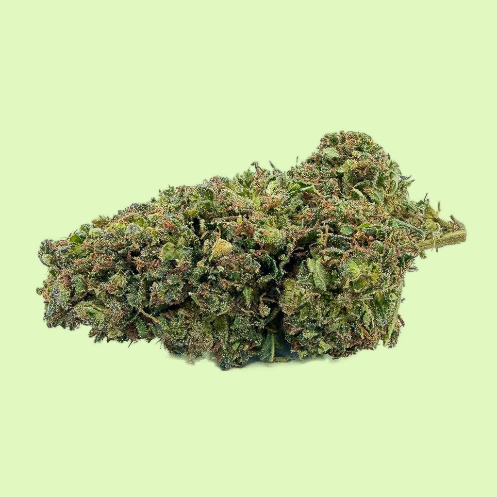 Fleurs brut Critical Berry par Herbe à Chat CBD, culture indoor, 30% CBC, vue détaillée de la plante de cannabis.