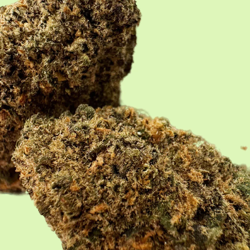 Fleurs brut Forbidden Fruit de Herbe à Chat CBD, indoor hydroponique, USA, 18% CBD, plante de cannabis en gros plan