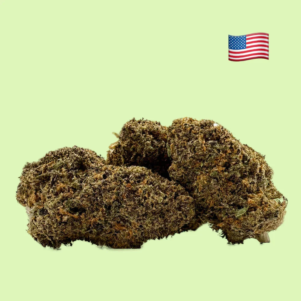Fleurs brut Forbidden Fruit CBD indoor hydroponique, 18% CBD, par Herbe à Chat CBD, visible en gros plan.