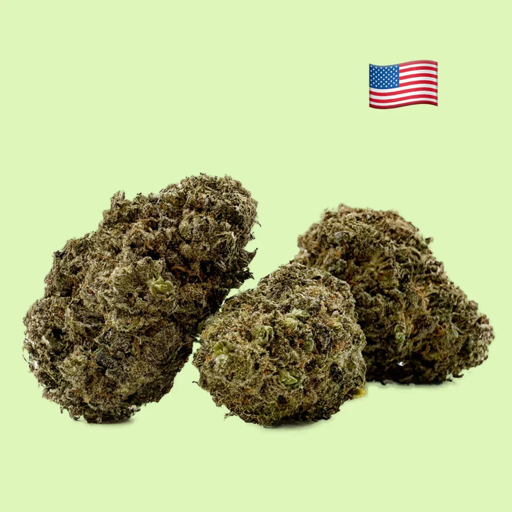 Fleurs brutes GMO Cookies par Herbe à Chat CBD, indoor hydroponique, 19% CBD, cultivées aux USA.