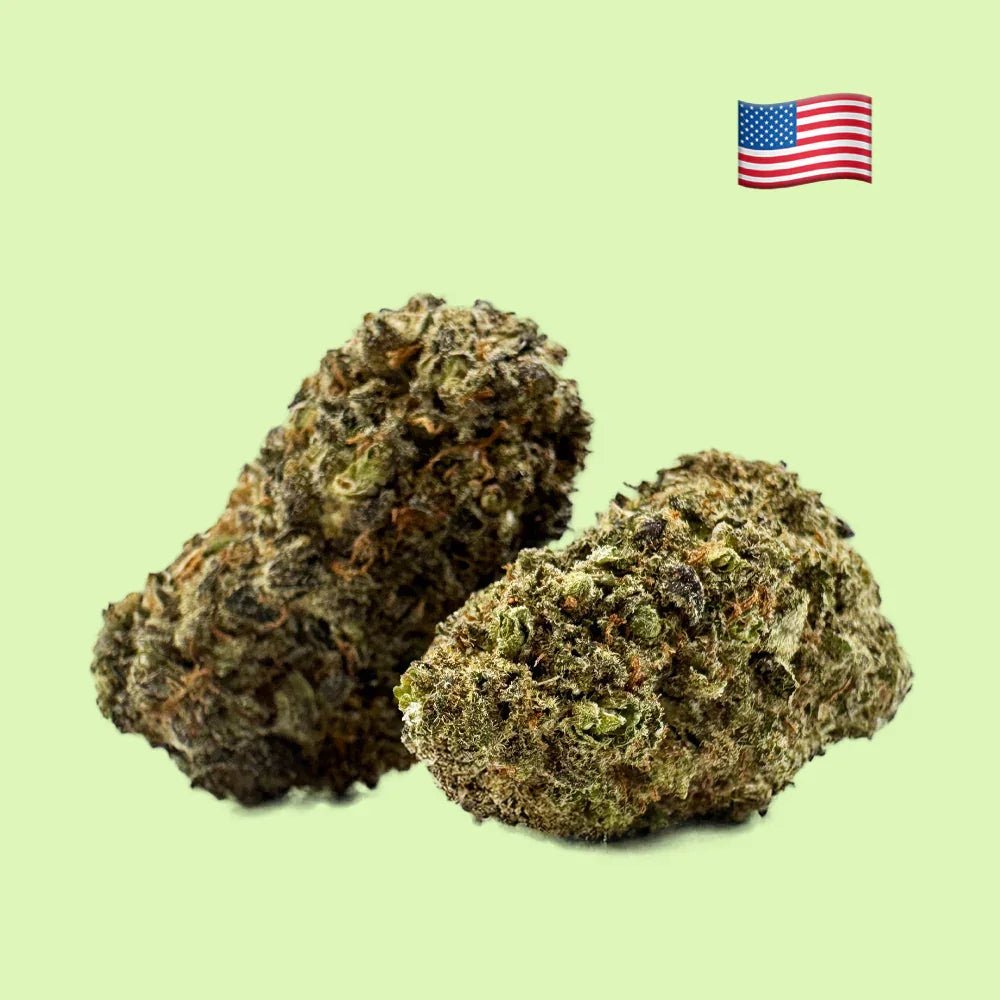 Fleurs brut GMO Cookies CBD de Herbe à Chat CBD, culture hydroponique intérieure aux États-Unis, 19% CBD.