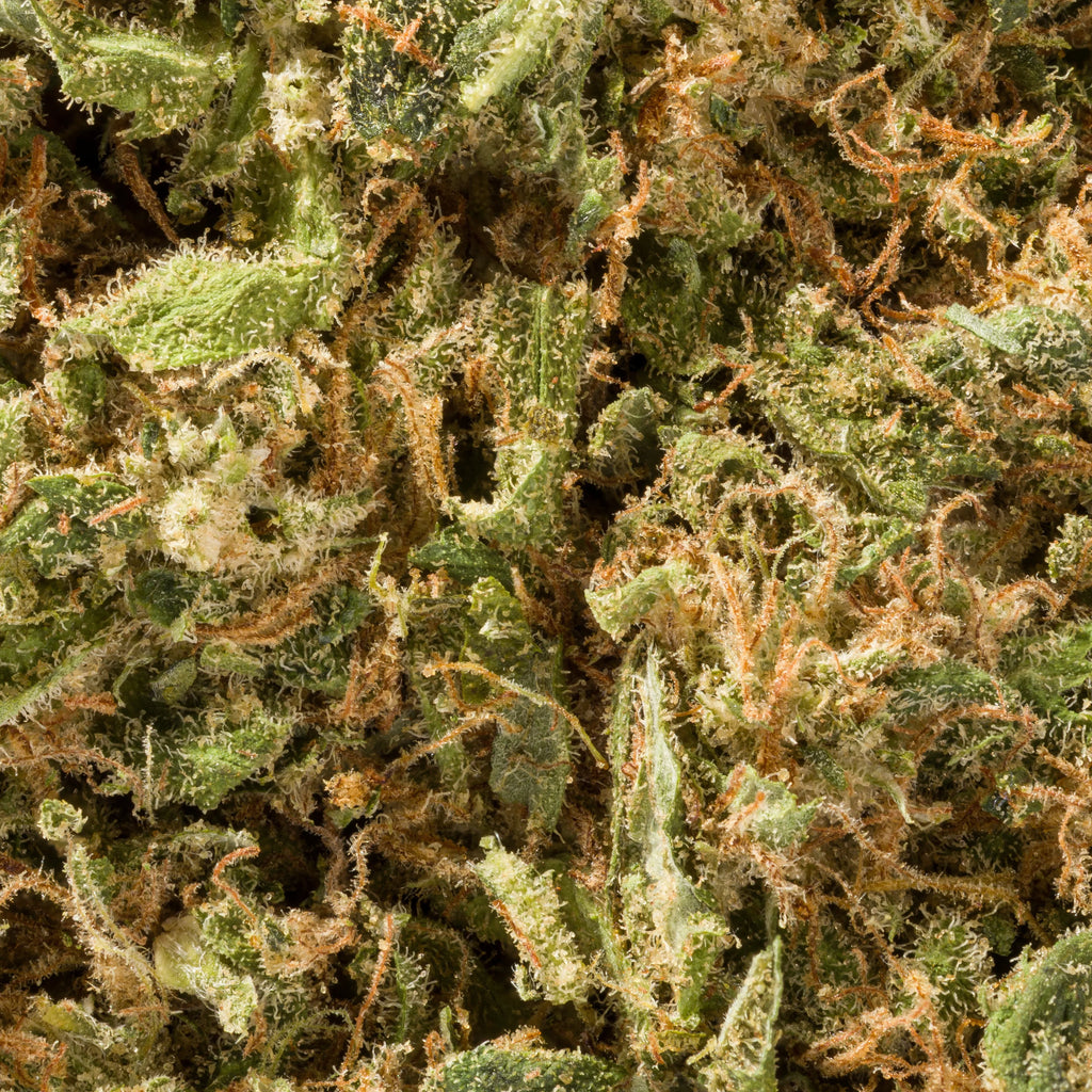 Fleurs brut Honey Cheese de Herbe à Chat CBD, cannabis sèche avec pistils orange et vert, 12% CBD, dans un emballage transparent.