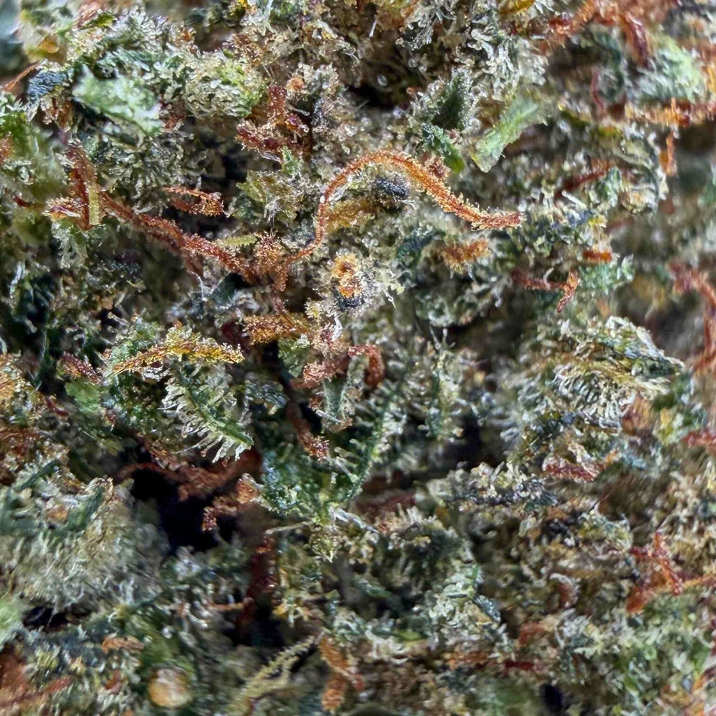 Fleurs brut Lemon Cherry CALI indoor de Herbe à Chat CBD, riche en 30% CBC, fleurs de cannabis aromatiques et appétissantes.