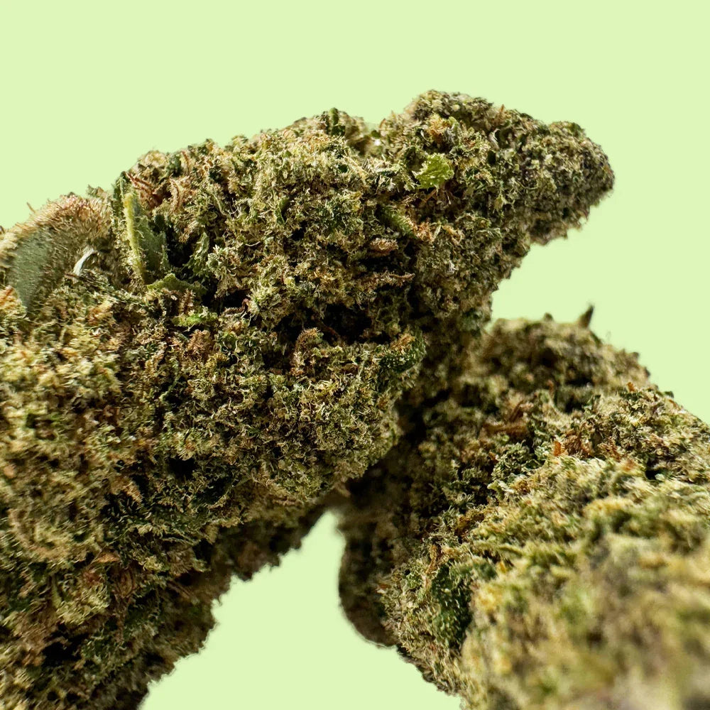 Fleurs brute Lemon Gelato CBD indoor hydroponique par Herbe à Chat, 19% CBD, cultivée aux USA, vue détaillée.