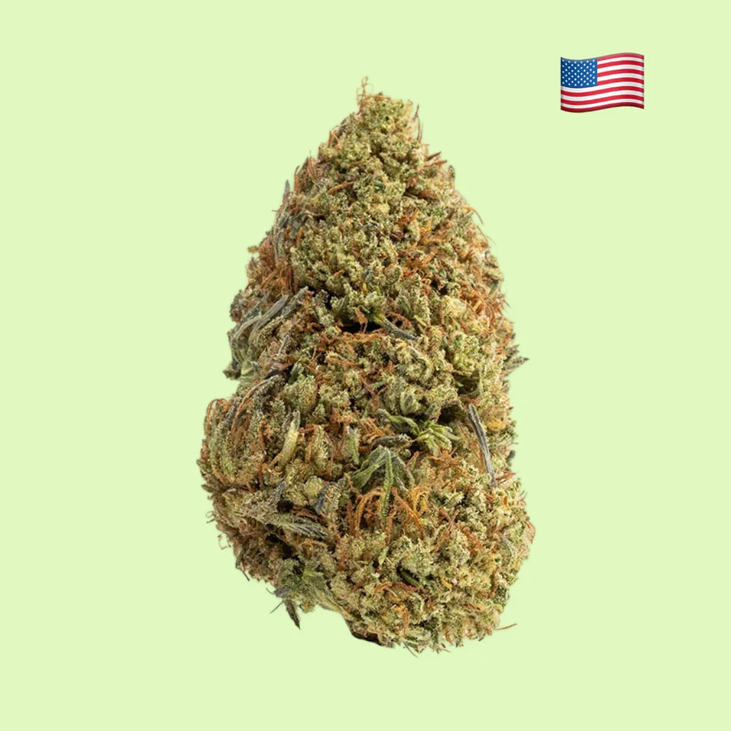 Fleurs brut Lemon Octane Indoor de Herbe à Chat CBD, 17% CBD, aux notes de citron, cultivées aux États-Unis.