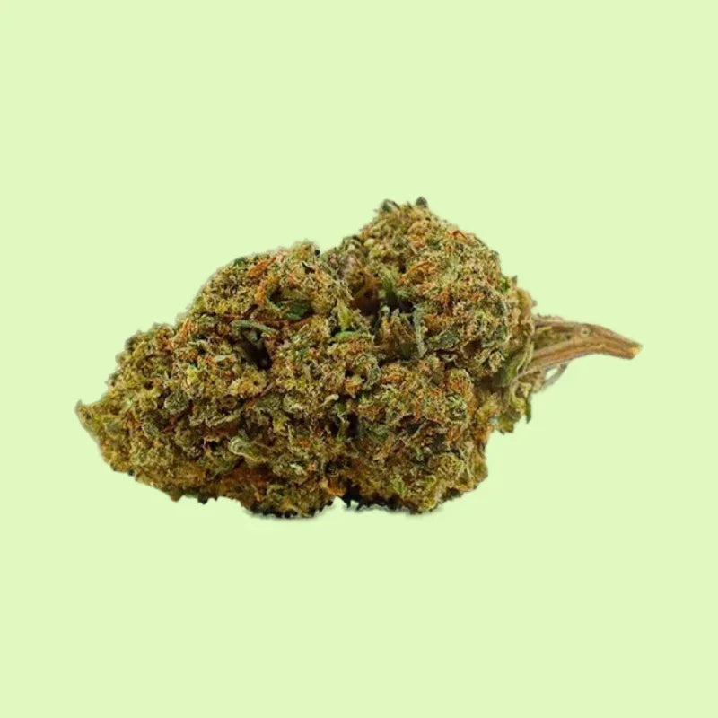 Fleurs brut Lemon Vuitton OG de Herbe à Chat CBD, indoor, 30% CBC, vue détaillée du produit en gros plan.
