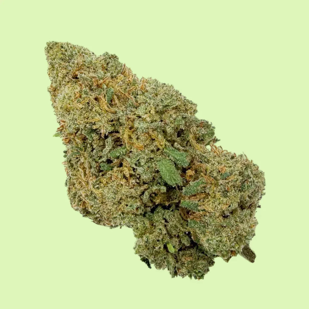 Fleurs brut de CBD Northwest de Herbe à Chat CBD, indoor, 1 g, avec 15 % de CBD visible dans un emballage.