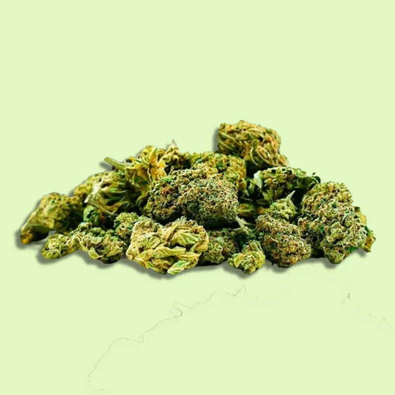 Petite fleur d'Herbe à Chat CBD, fleur brute indoor avec 30 % CBC, visible avec ses petites têtes et texture naturelle.
