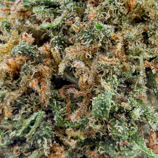 Northwest | Indoor | 15% CBD