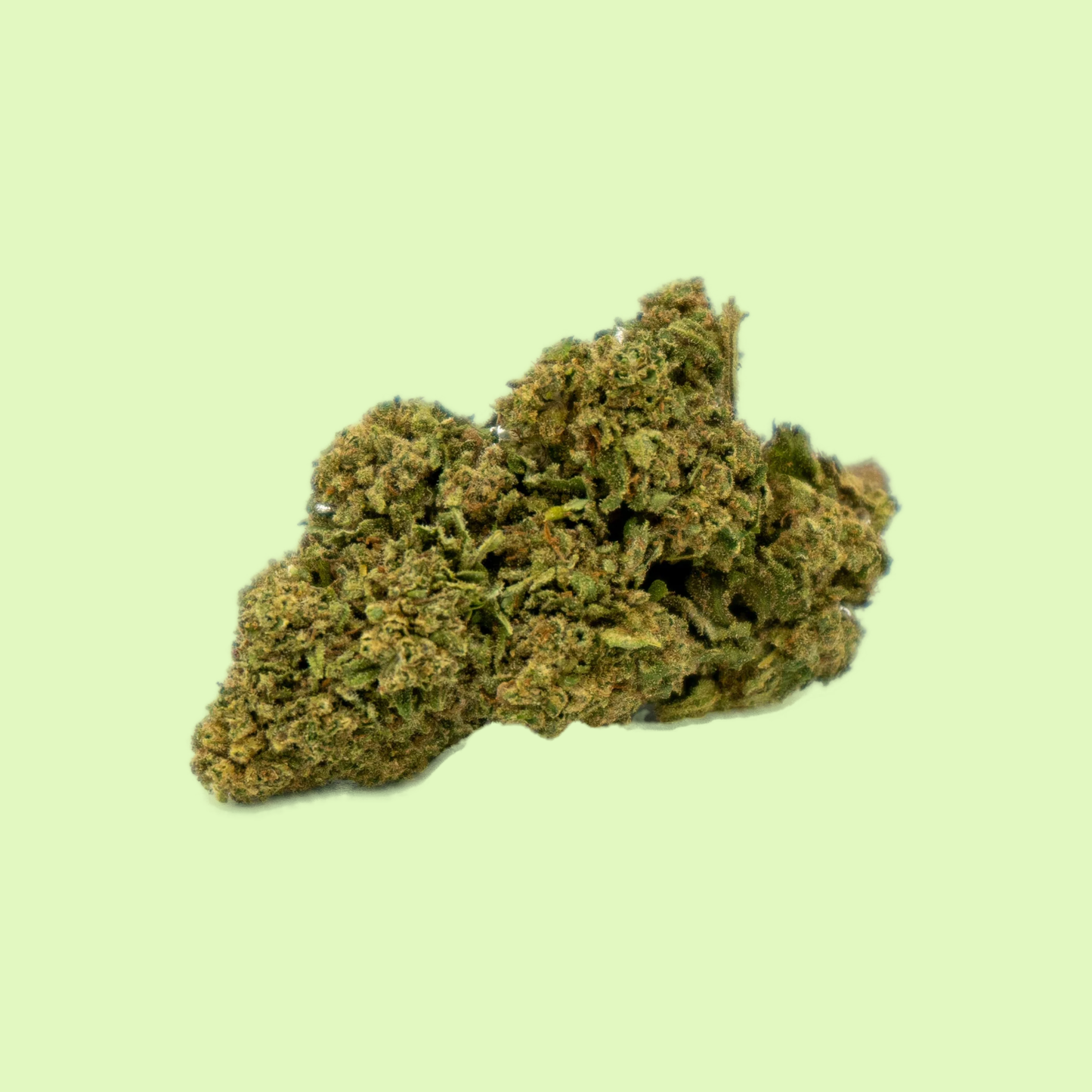 Pineaple Express | Indoor hydroponique | 14% CBD