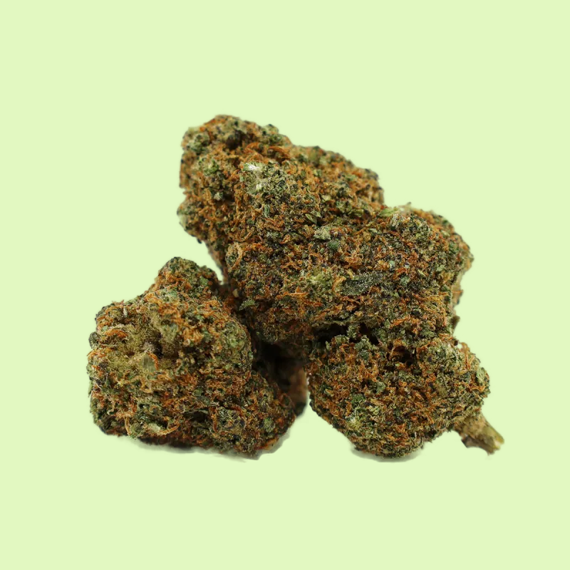 Fleurs brutes Turbo Bacon de Herbe à Chat CBD, indoor hydroponique, riche en CBC à 50% et Delta-10, aspect dense et résineux