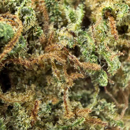 Western Cherry | Indoor | 14% CBD