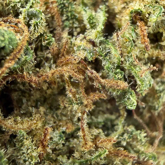 Western Cherry | Indoor | 14% CBD